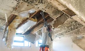 Mold Remediation for Vacation Homes in Gladeview, FL